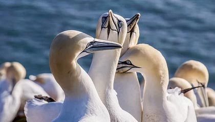 开云平台：让云端开放成为企业的新生产力